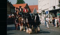 Shirehorses