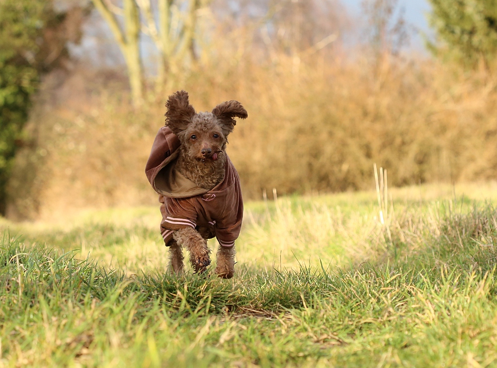 Shirley fliegt ins Wochenende ....