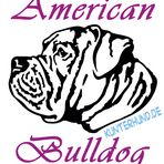 Shirtmotiv "American Bulldog"