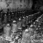 Shiva lingams, Thanjavur