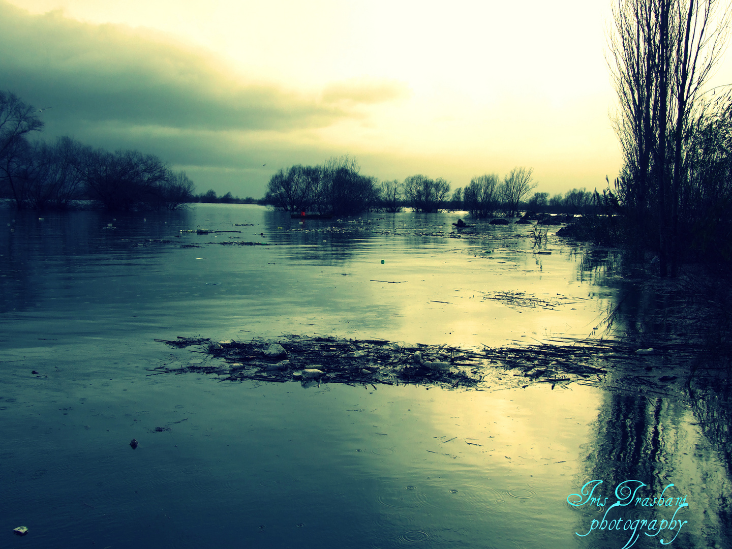 Shkodra's Lake