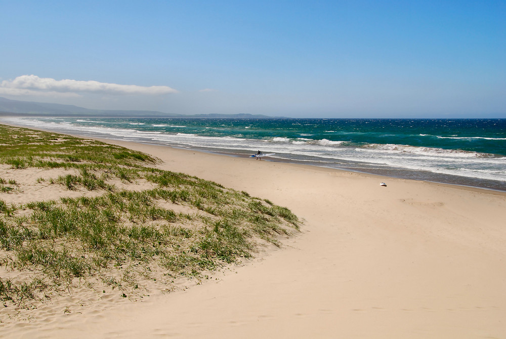 Shoalhaven Heads