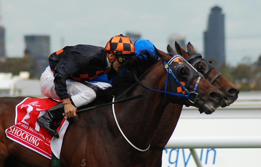 Shocking auf dem Weg zum Melbourne Cup Sieg 2009