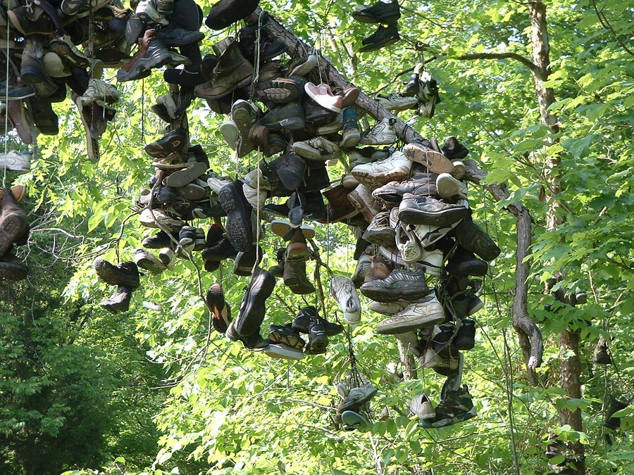 Shoe Tree (KY - USA)