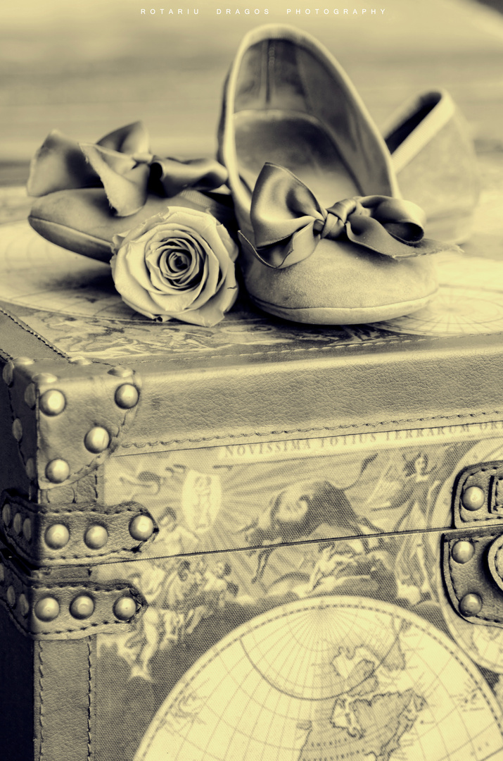 Shoes and a rose