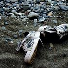 shoes on the beach