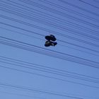 Shoes on the wires