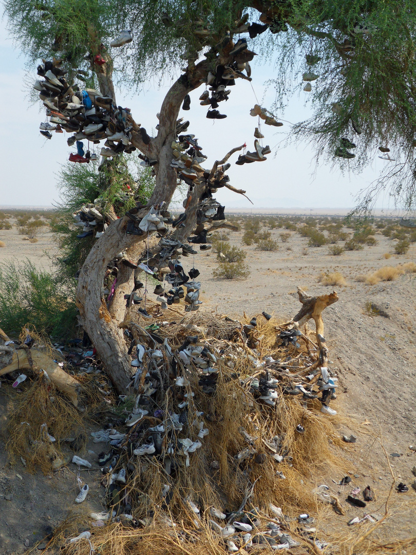 Shoetree on Route66