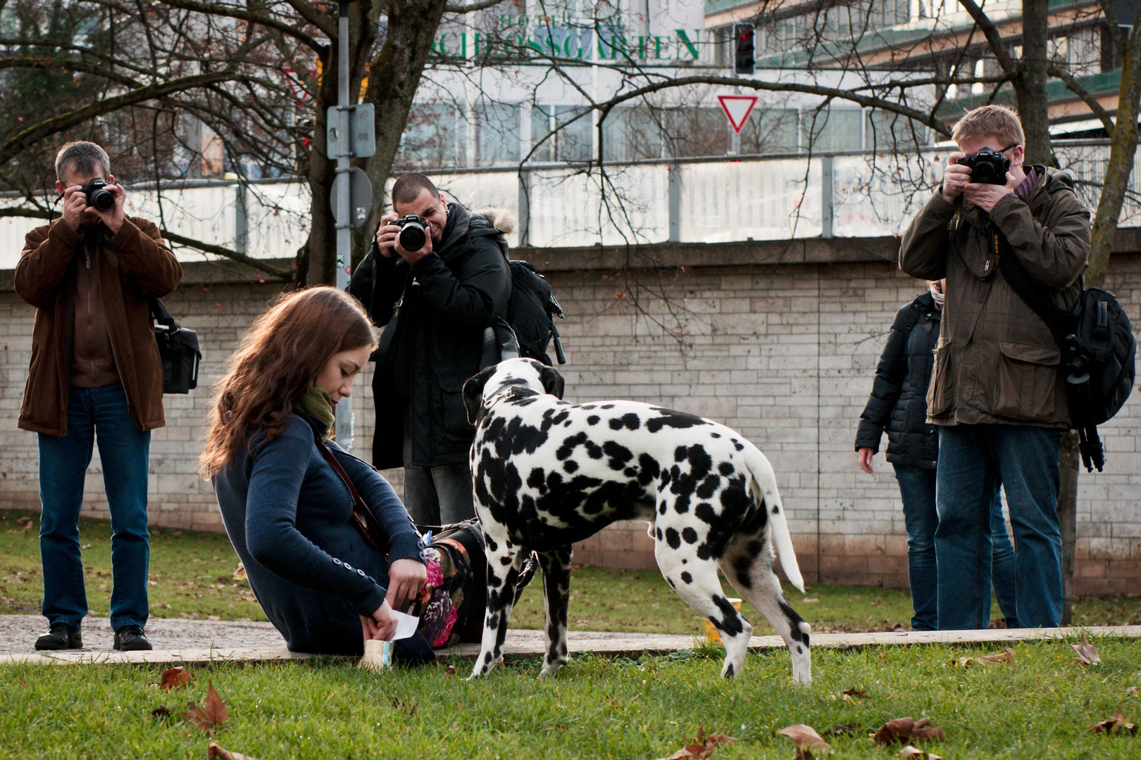 Shoot the dog, not the girl