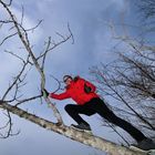 Shooting auf dem Baum