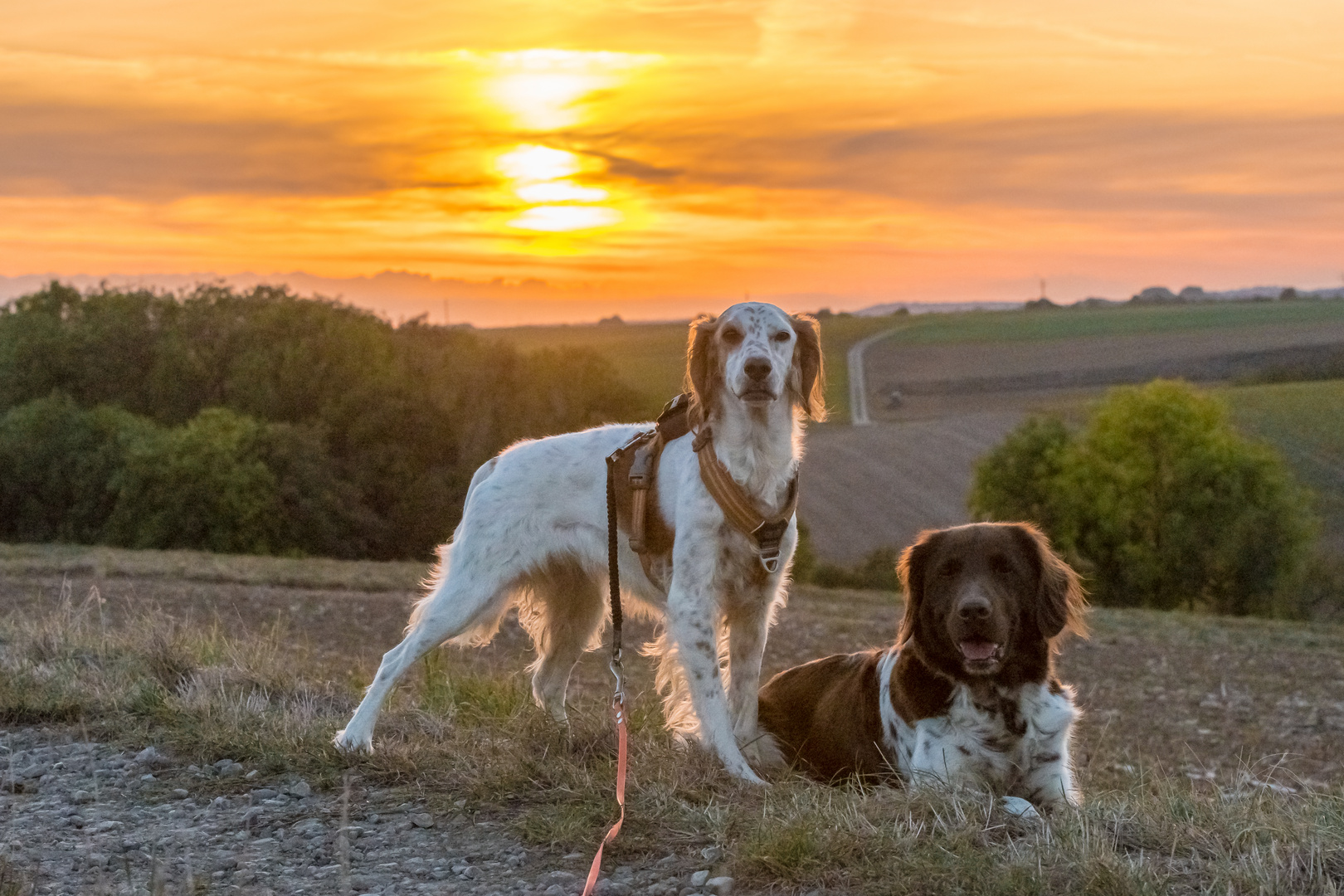 Shooting bei Sonnenuntergang 