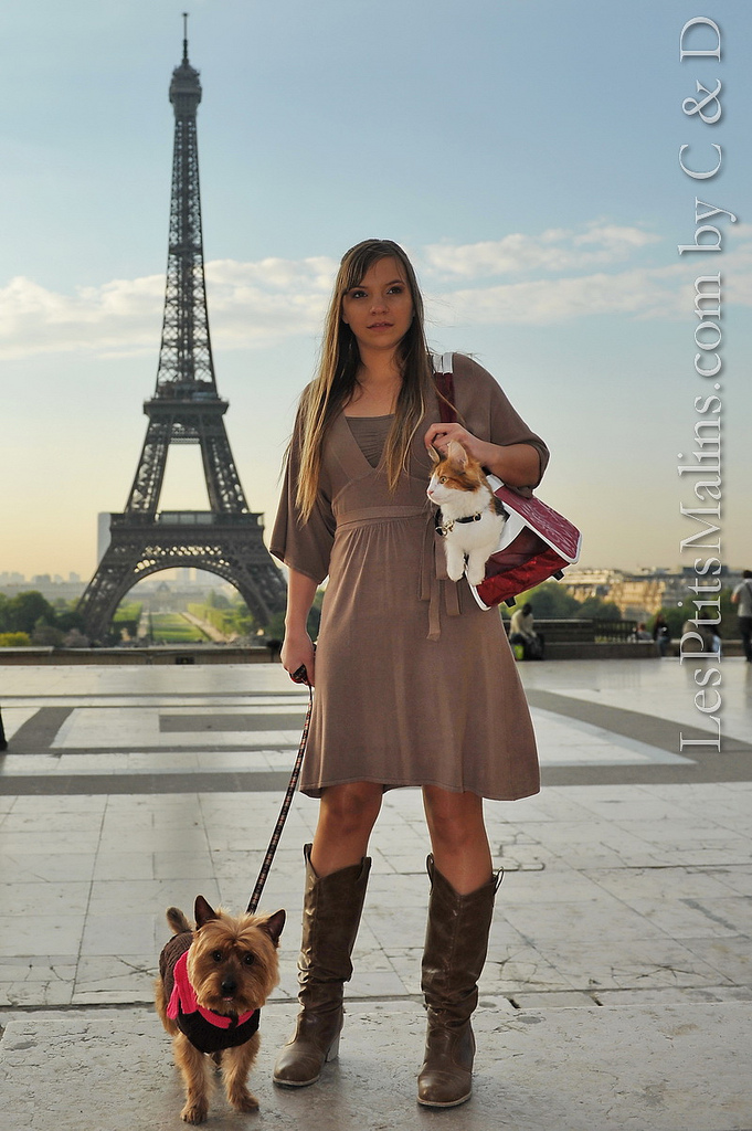 Shooting for pet magazine in PAris