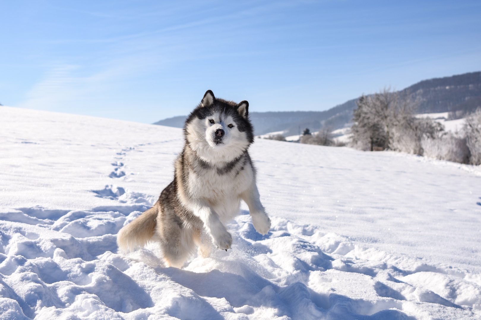 Shooting im Schnee