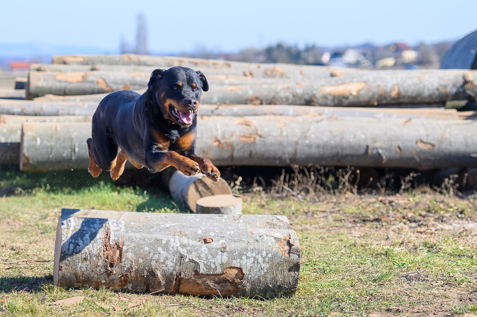 Shooting mit Baxter III - Die Kür