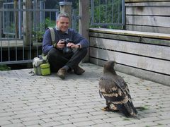 Shooting mit dem Steppenadler (12)