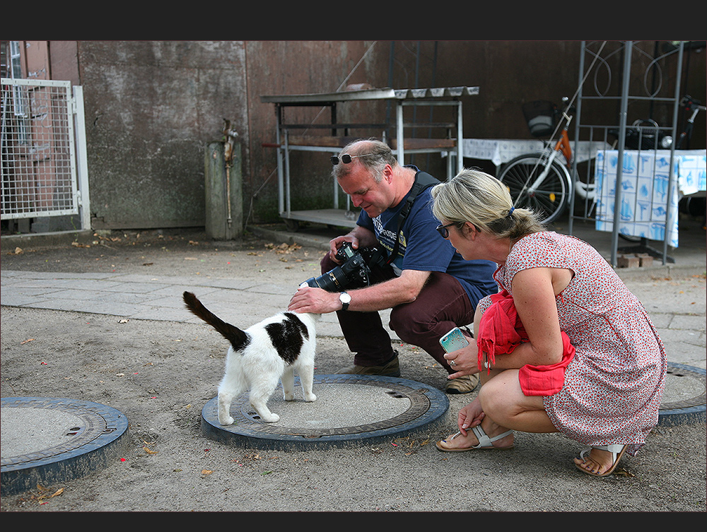 Shooting mit Katze