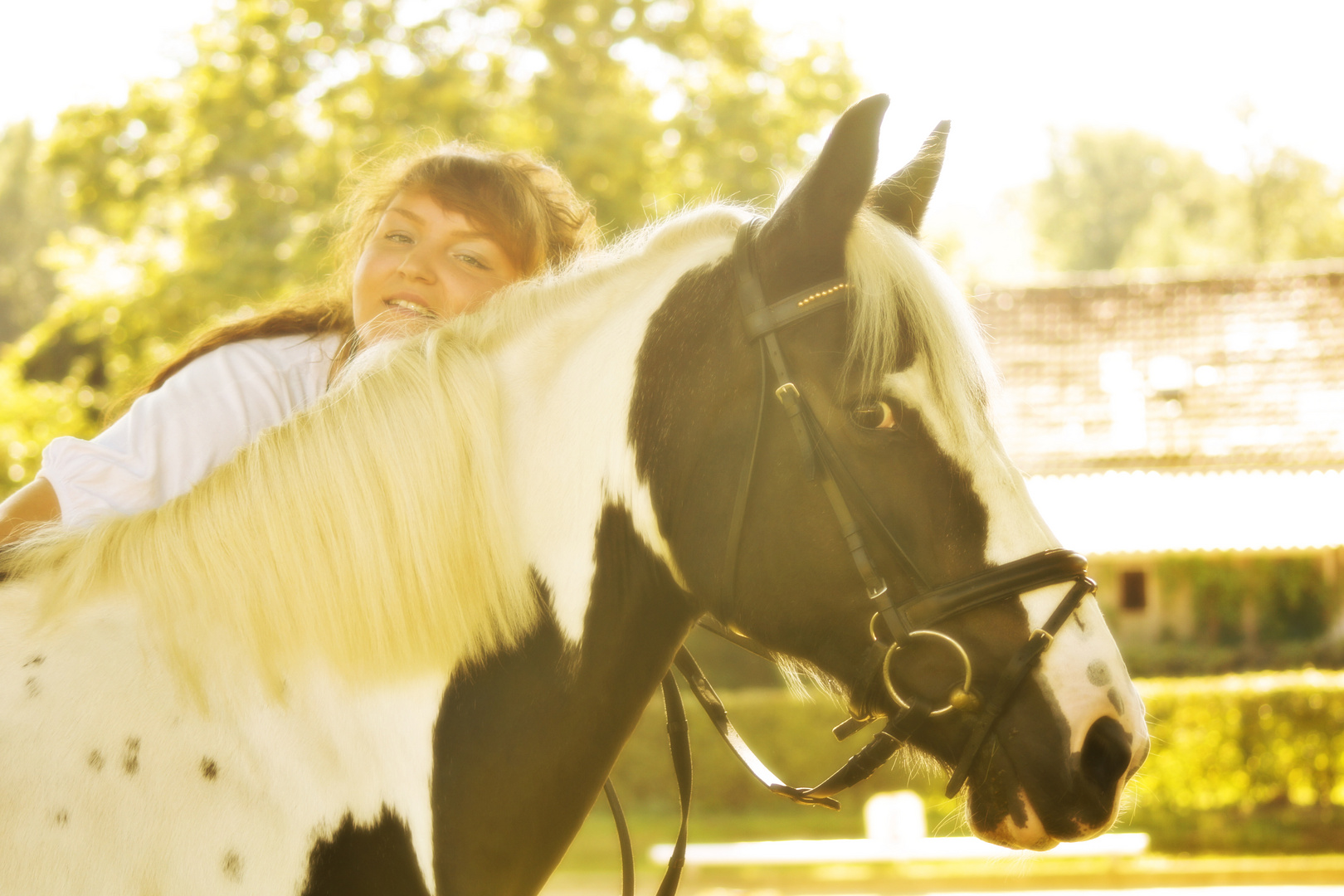 Shooting mit Pferd