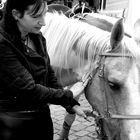 Shooting mit Pferd in Hannover