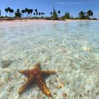 Shooting STAR Grand Cayman