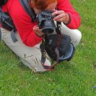 Shooting the edelweiss