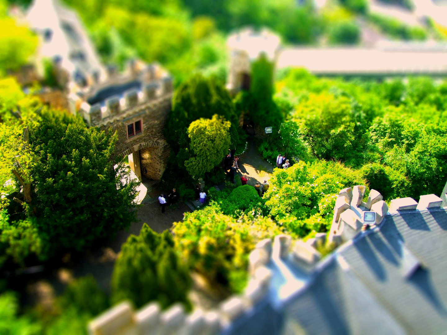 Shooting vom Hochzeitsshooting in Tiltshift