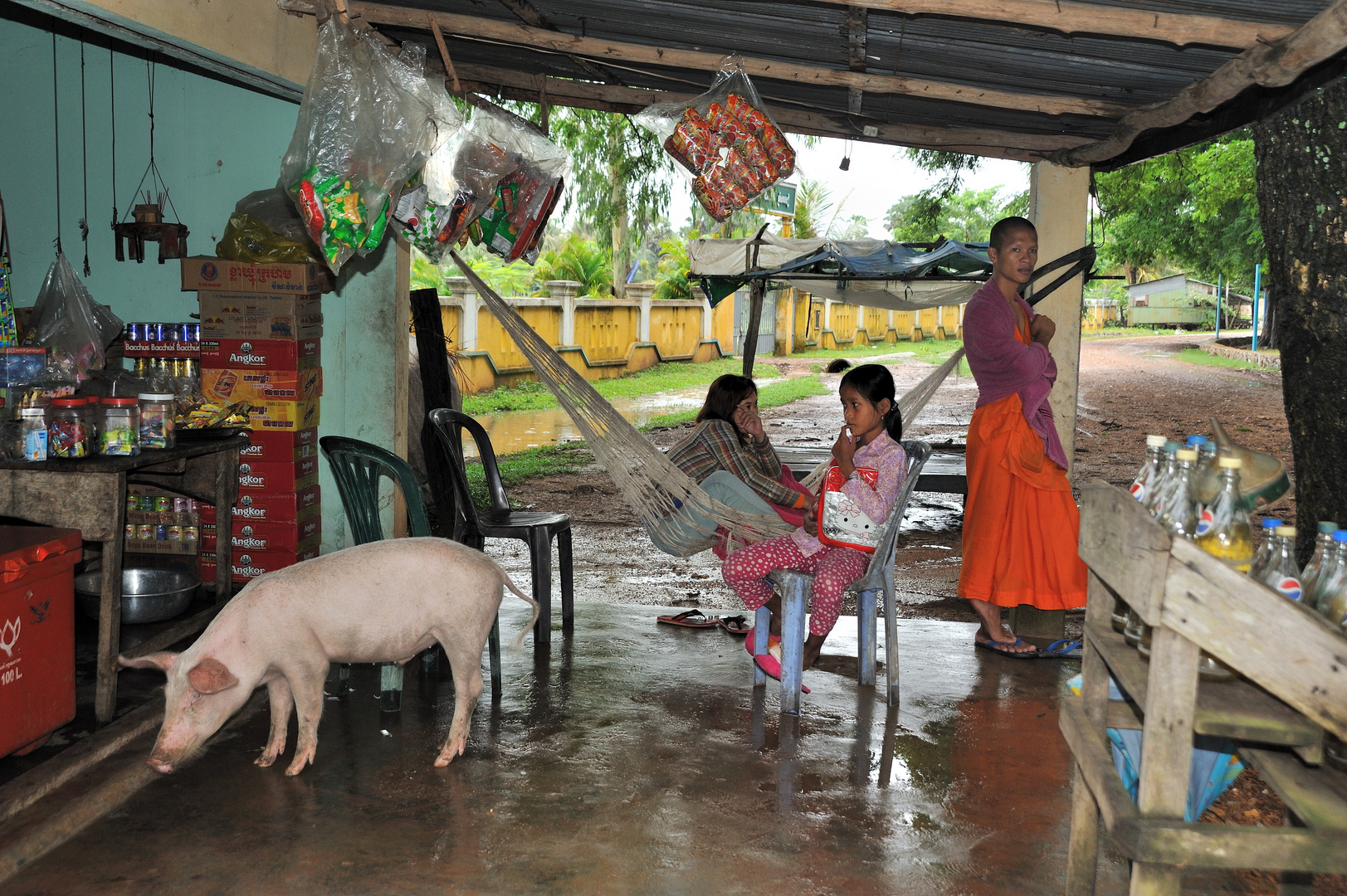 Shop in the Countryside