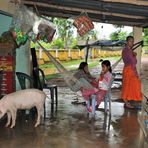 Shop in the Countryside