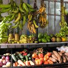 ...Shop in Tortuguero...