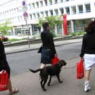 Shopping Girls