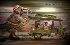 Shopping-Tour