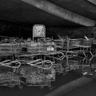 Shopping trolleys in a puddle