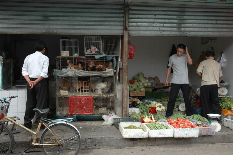 Shops are opened.