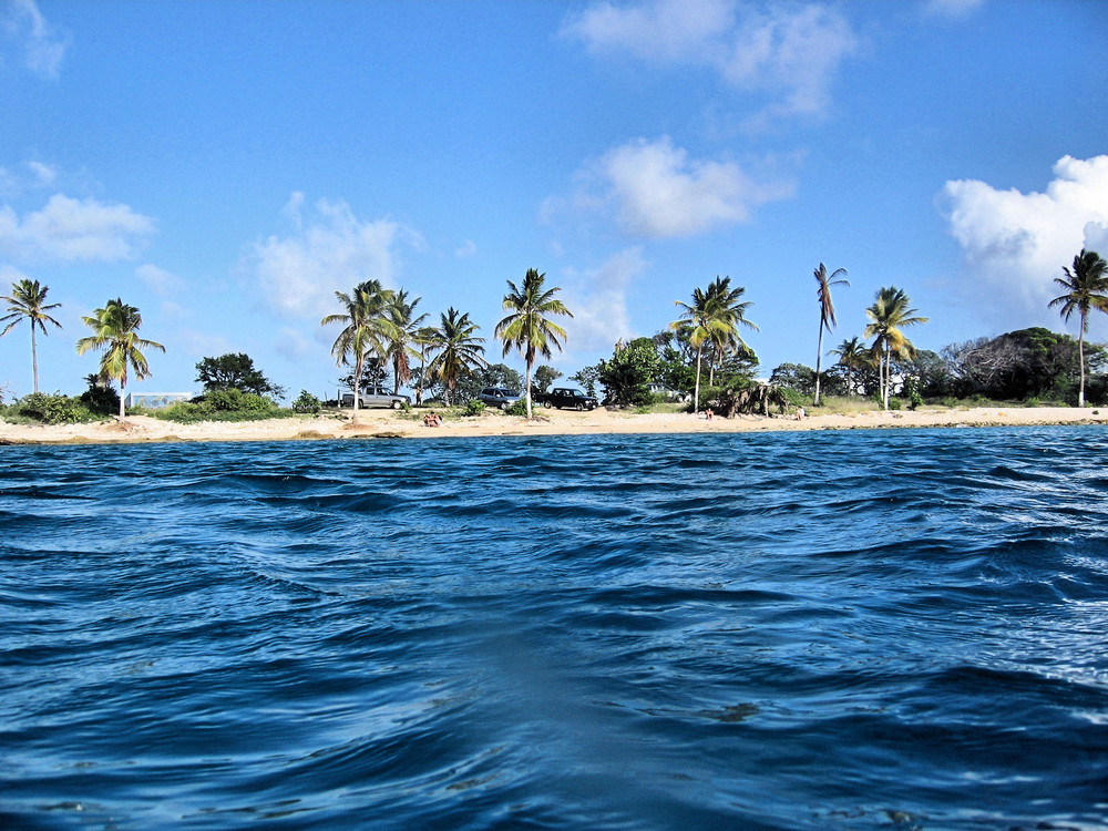 Shore Dive No.36 Windock (Bonaire )