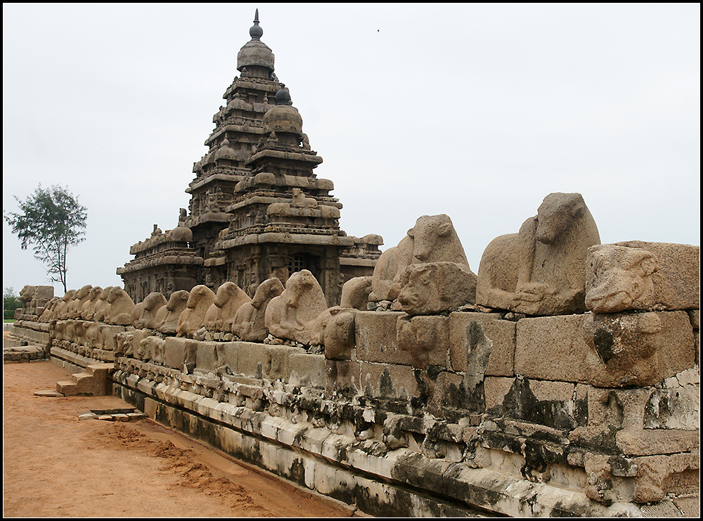 SHORE TEMPLE II