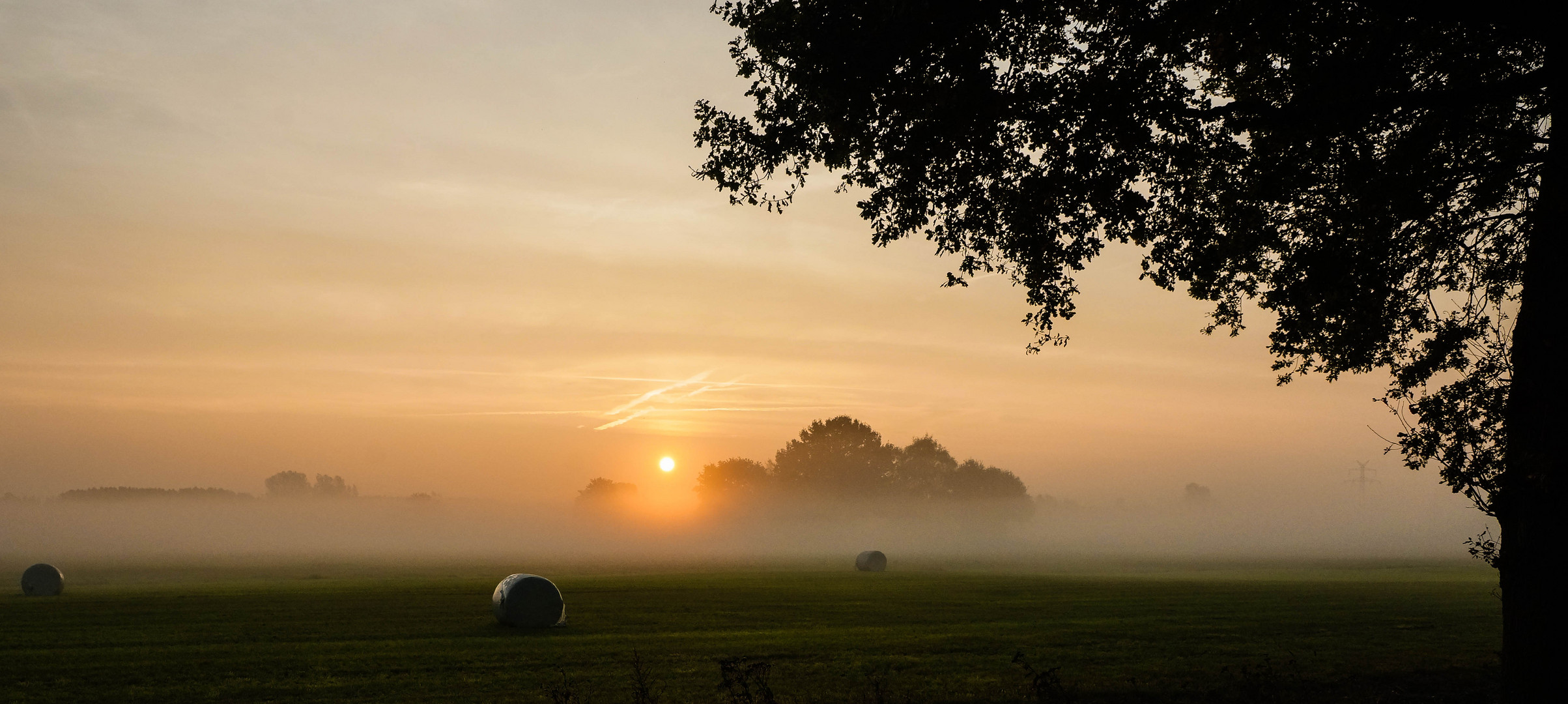 short foggy morning has broken