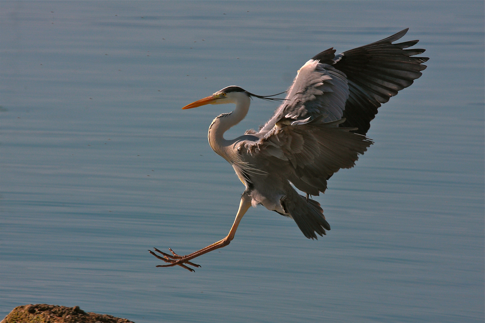 Short landing.