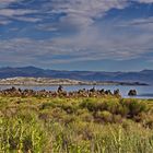 short stop on Mono Lake