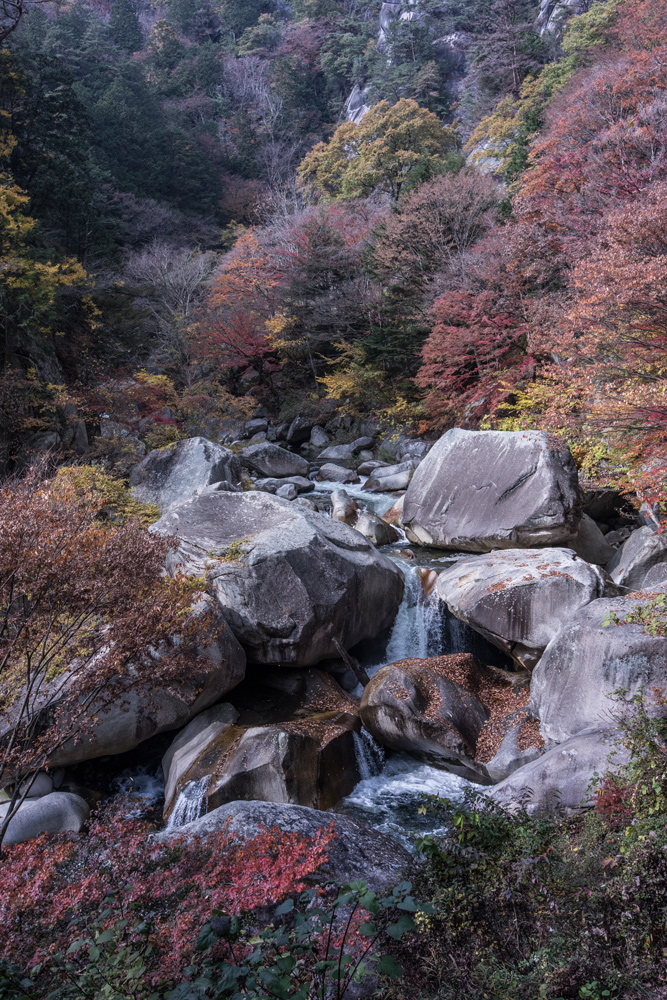 Shosenkju