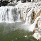 shoshone falls