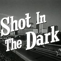 Shot in the dark