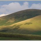 Shoulder Hill Cheviot Hills