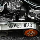 Shovel Head