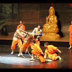 Show der Shaolin -