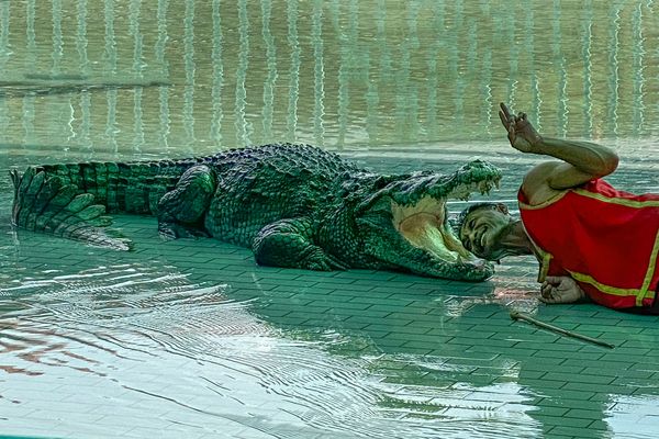 Show in Bueng Chawak Chaloem Phrakiet