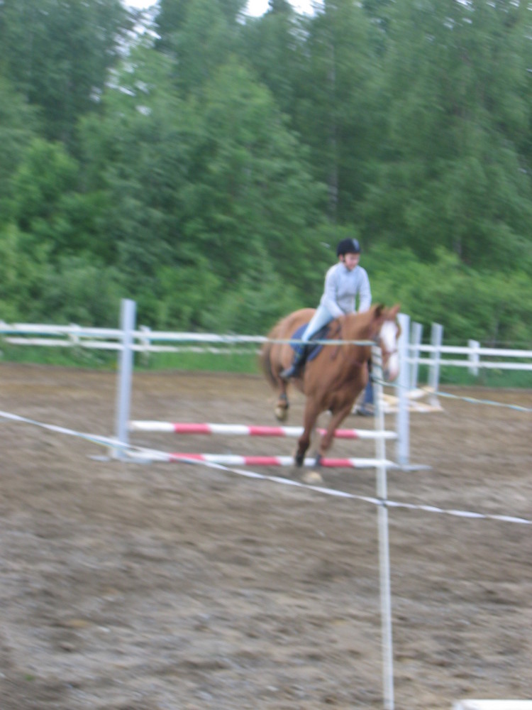 Show Jumping 2008