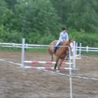 Show Jumping 2008