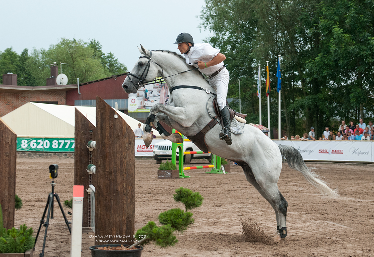 Show jumping