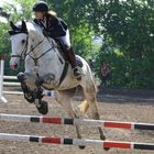 Show jumping