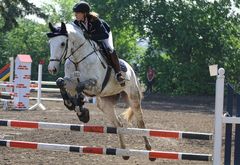 Show jumping