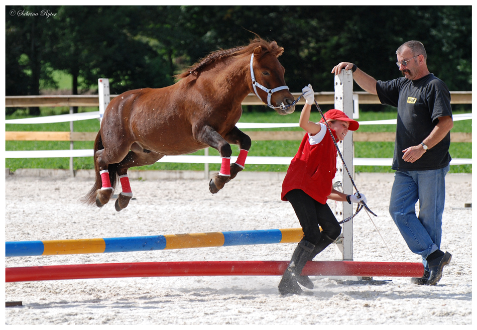 Show Jumping